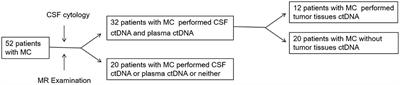 The diagnostic significance of cerebrospinal fluid cytology and circulating tumor DNA in meningeal carcinomatosis